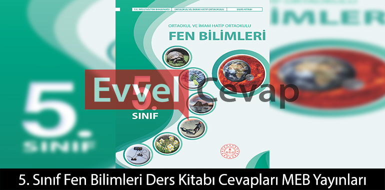 5. Sınıf Fen Bilimleri Kitabı Cevapları Meb Yayınları