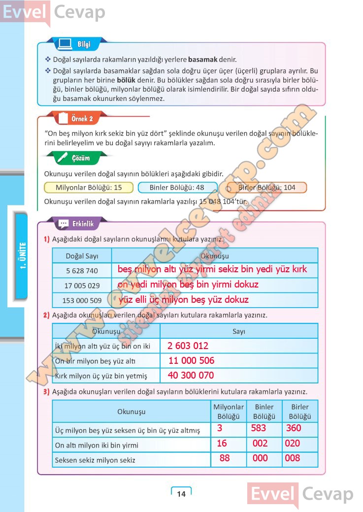 5. Sınıf Meb Yayınları Matematik Ders Kitabı Cevapları Sayfa 12-13-14 ...