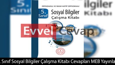 5. Sınıf Sosyal Bilgiler Çalışma Kitabı Cevapları Meb Yayınları