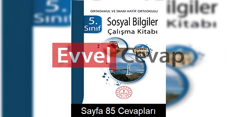 5. Sınıf Sosyal Bilgiler Çalışma Kitabı Cevapları Meb Yayınları Sayfa 85