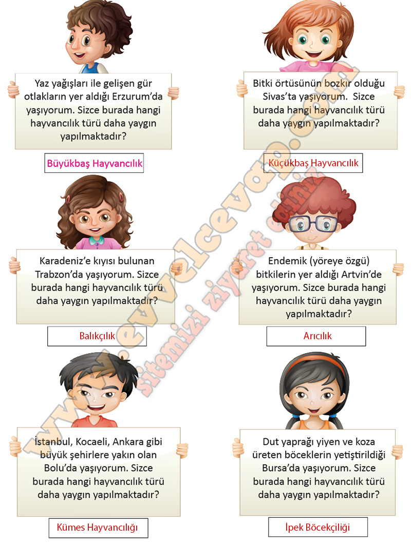 5. Sınıf Sosyal Bilgiler Çalışma Kitabı Cevapları Meb Yayınları Sayfa 89