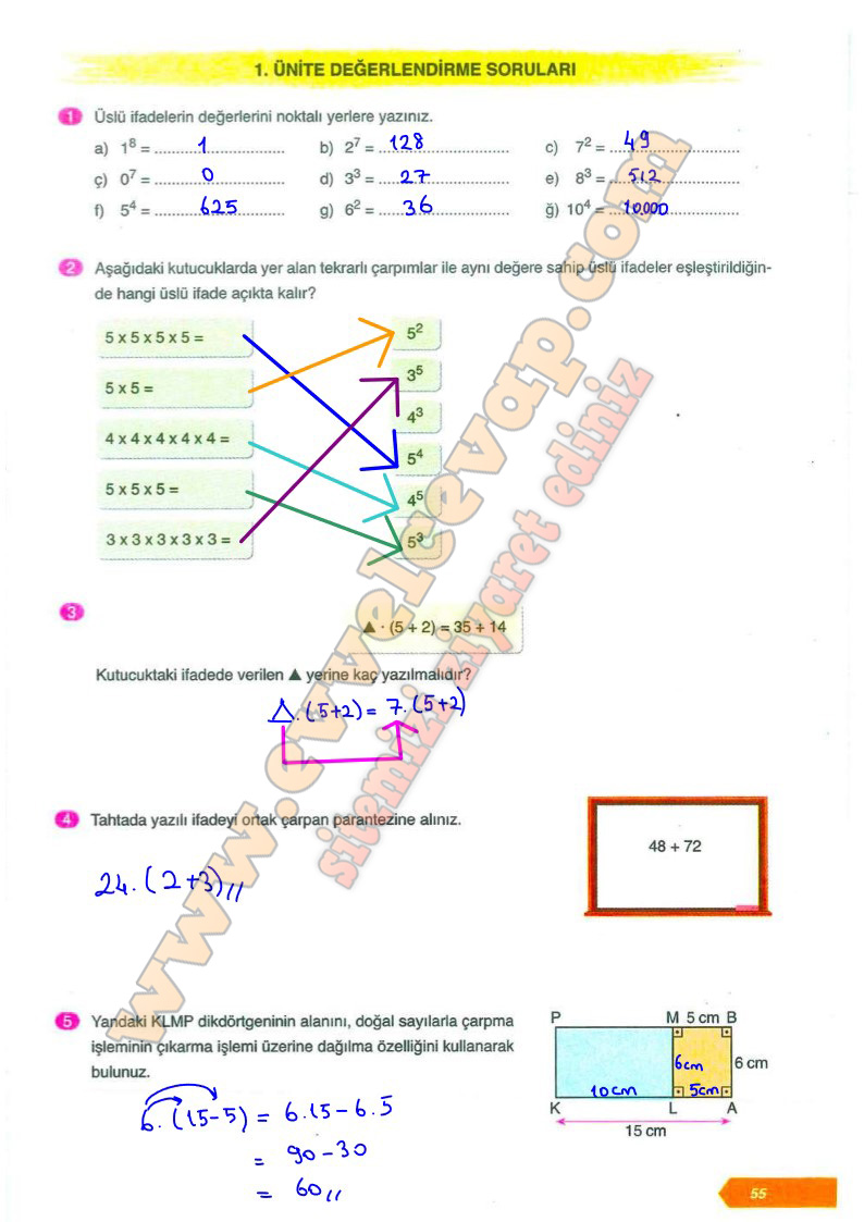 6. Sınıf Ata Yayınları Matematik Ders Kitabı Cevapları Sayfa 55-56-57-58