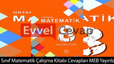 8. Sınıf Matematik Çalışma Kitabı Cevapları