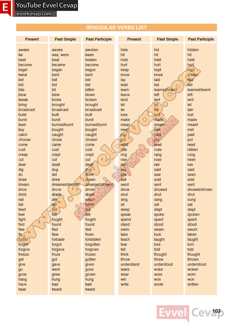 11-sinif-ingilizce-spice-up-ders-kitabi-sayfa-103