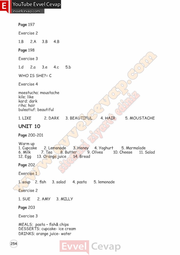 4-sinif-ingilizce-calisma-kitabi-cevaplari-meb-sayfa-254