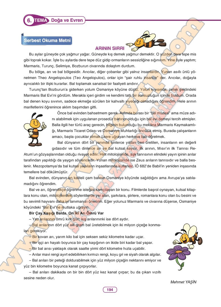6-sinif-turkce-ders-kitabi-cevaplari-anka-yayinlari-sayfa-194