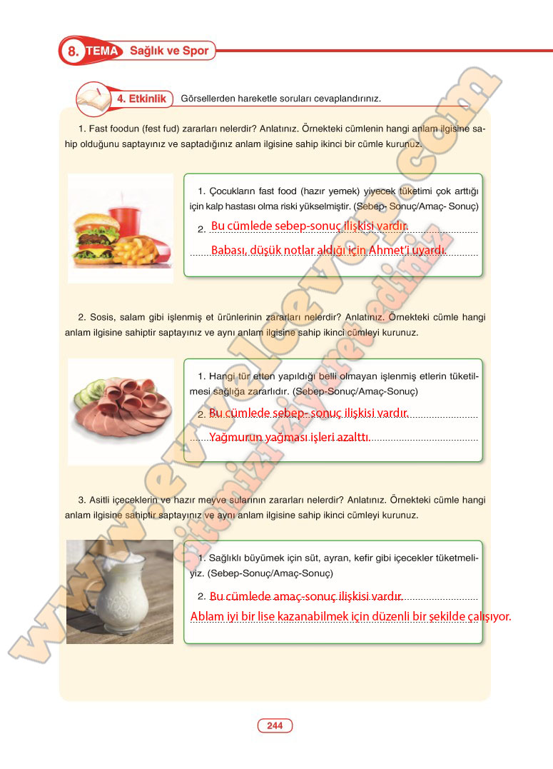 6-sinif-turkce-ders-kitabi-cevaplari-anka-yayinlari-sayfa-244