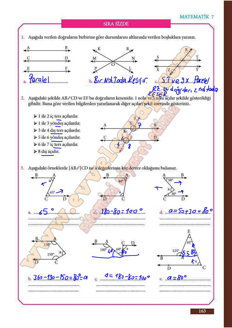 7-sinif-matematik-ders-kitabi-cevabi-meb-sayfa-163