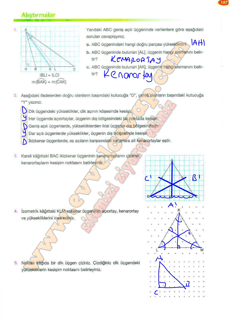8-sinif-matematik-ders-kitabi-cevaplari-berkay-yayinlari-sayfa-187