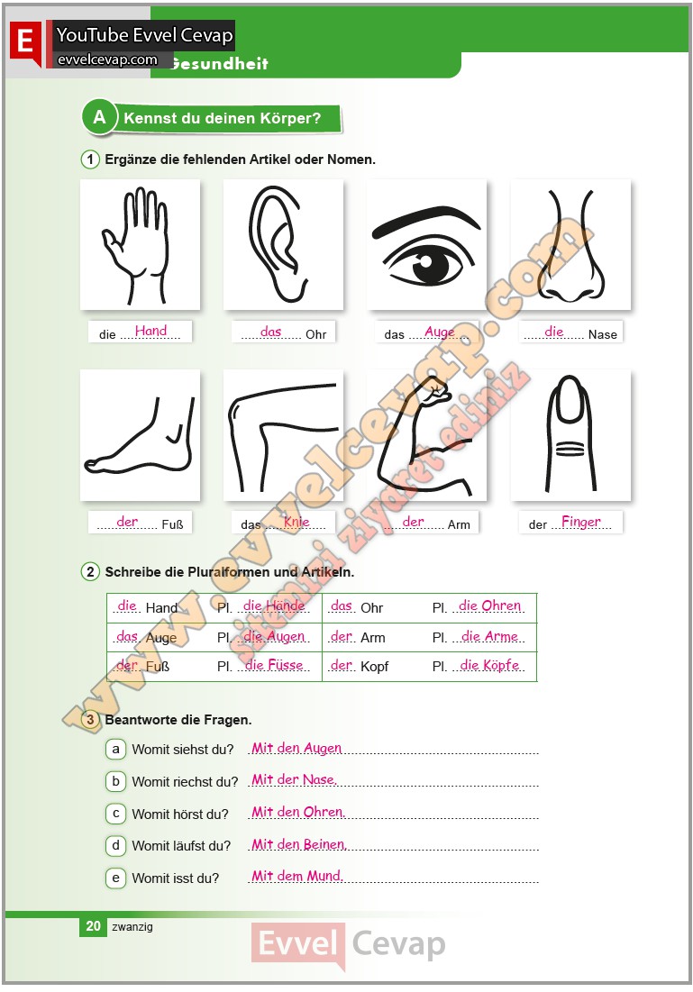 almanca-a1-2-calisma-kitabi-cevabi-ata-yayincilik-sayfa-20