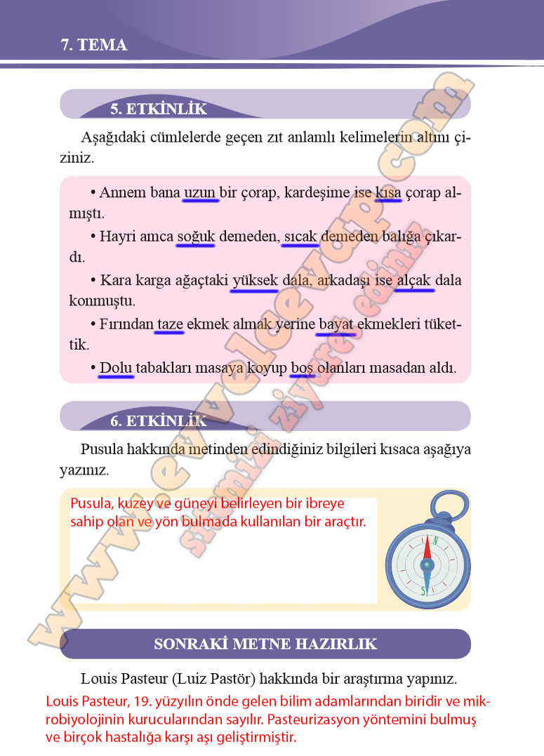 2-sinif-turkce-ders-kitabi-cevaplari-bilim-ve-kultur-yayinlari-sayfa-236