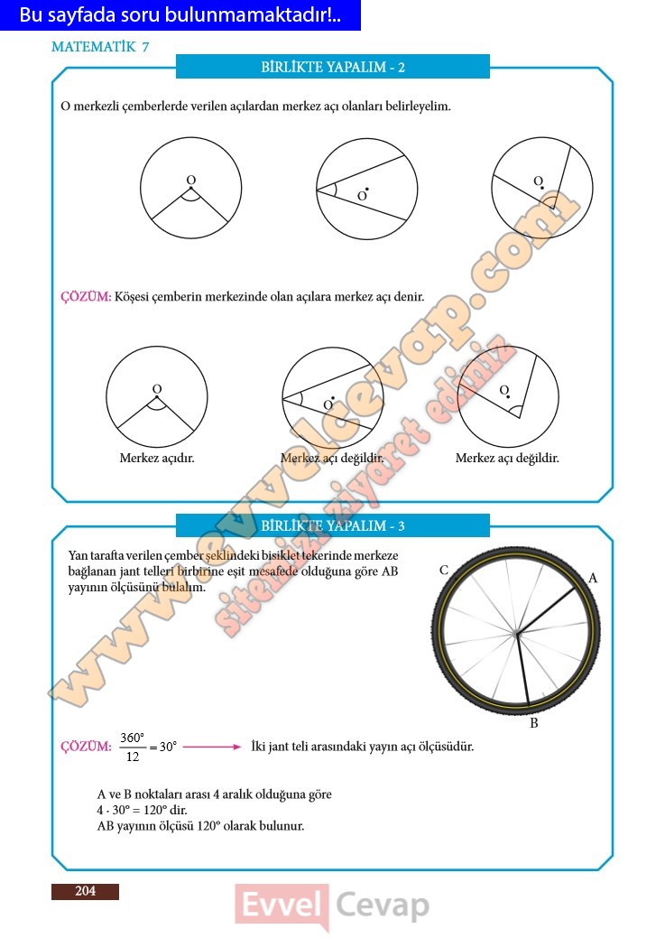 7-sinif-matematik-ders-kitabi-cevabi-meb-sayfa-204