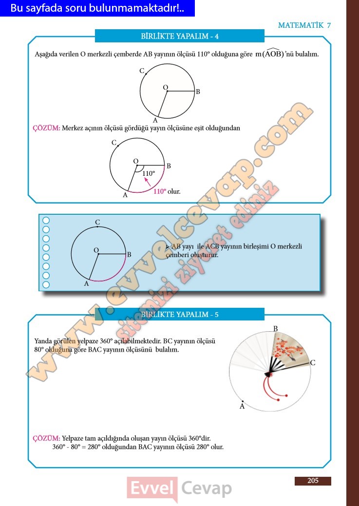 7-sinif-matematik-ders-kitabi-cevabi-meb-sayfa-205