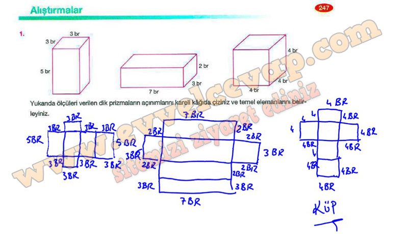8-sinif-matematik-ders-kitabi-cevabi-berkay-yayinlari-sayfa-247