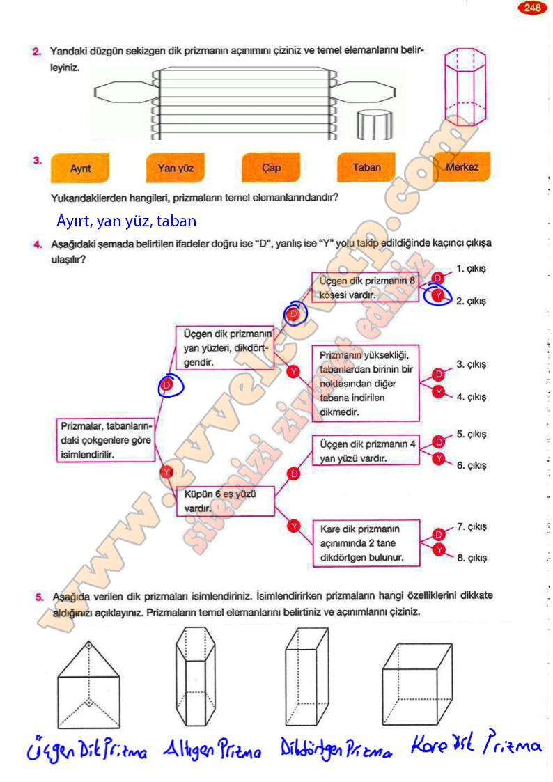 8-sinif-matematik-ders-kitabi-cevabi-berkay-yayinlari-sayfa-248