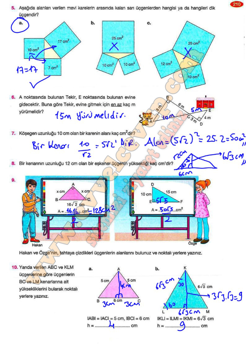 8-sinif-matematik-ders-kitabi-cevaplari-berkay-yayinlari-sayfa-210