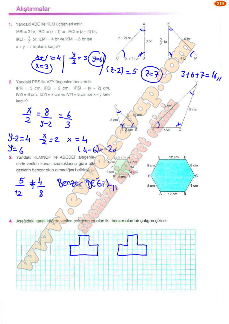 8-sinif-matematik-ders-kitabi-cevaplari-berkay-yayinlari-sayfa-219