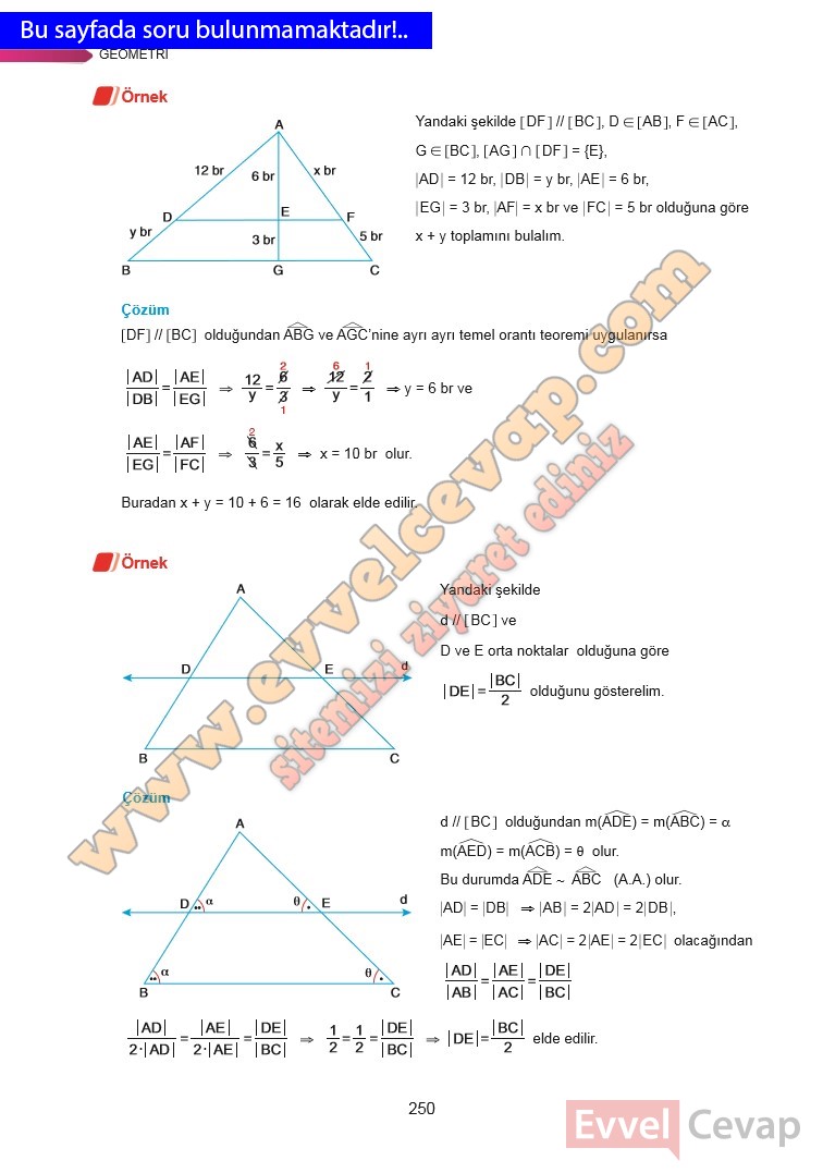 9-sinif-matematik-ders-kitabi-cevabi-ata-yayinlari-sayfa-250