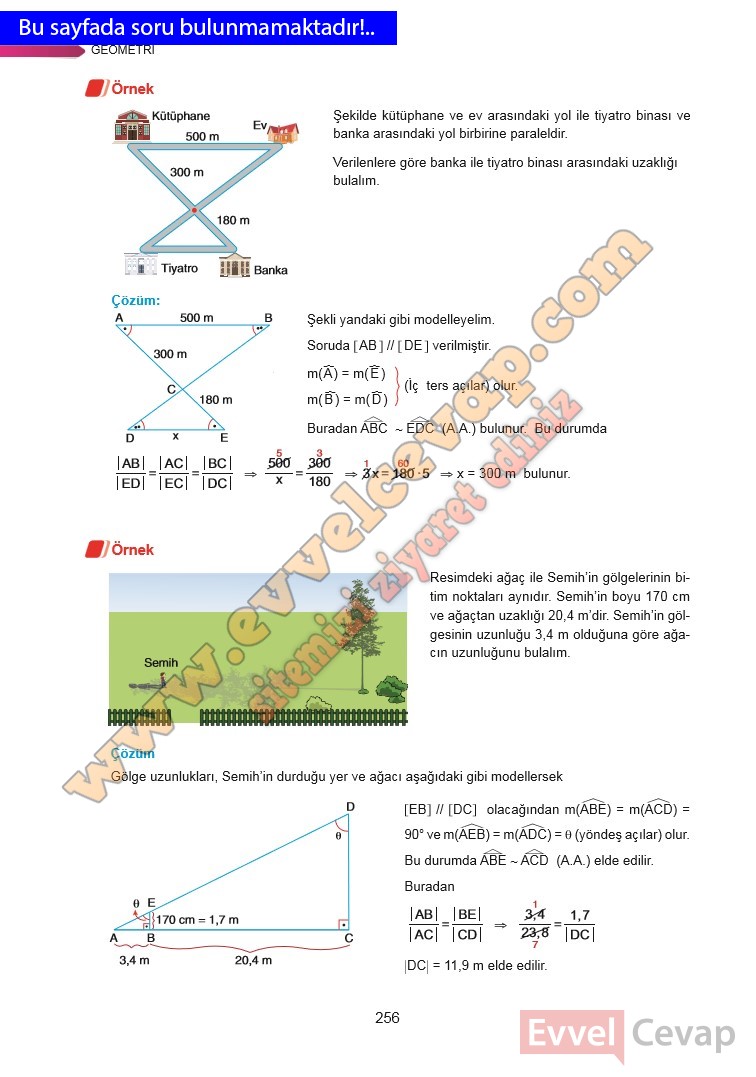 9-sinif-matematik-ders-kitabi-cevabi-ata-yayinlari-sayfa-256