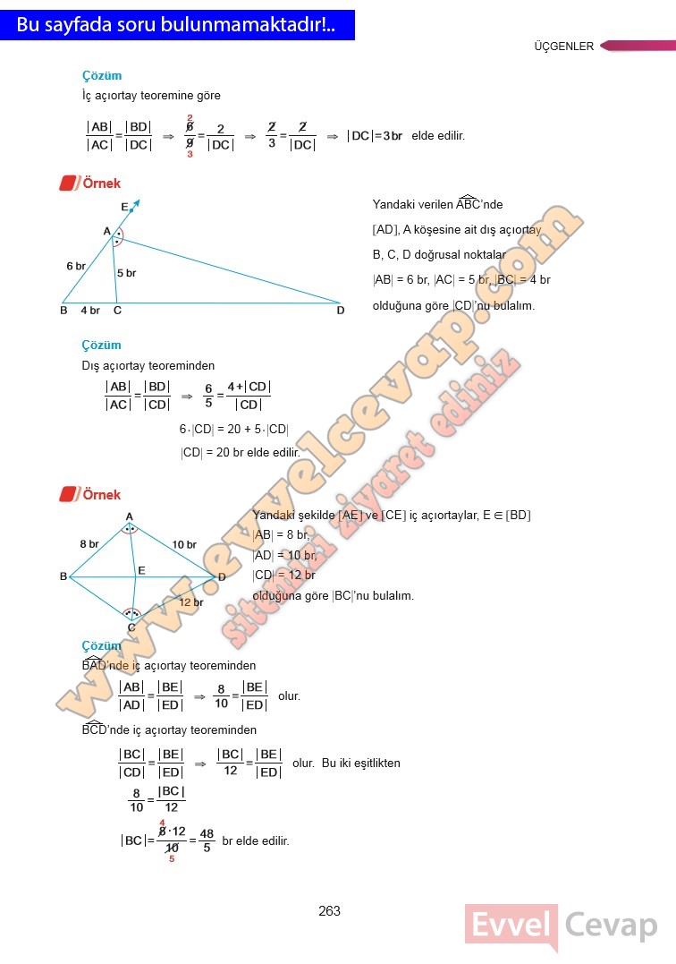 9-sinif-matematik-ders-kitabi-cevabi-ata-yayinlari-sayfa-263