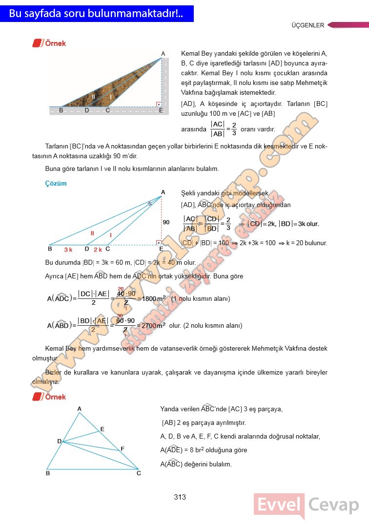 9-sinif-matematik-ders-kitabi-cevabi-ata-yayinlari-sayfa-313