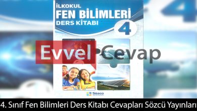 4. Sınıf Fen Bilimleri Ders Kitabı Cevapları Sözcü Yayınları