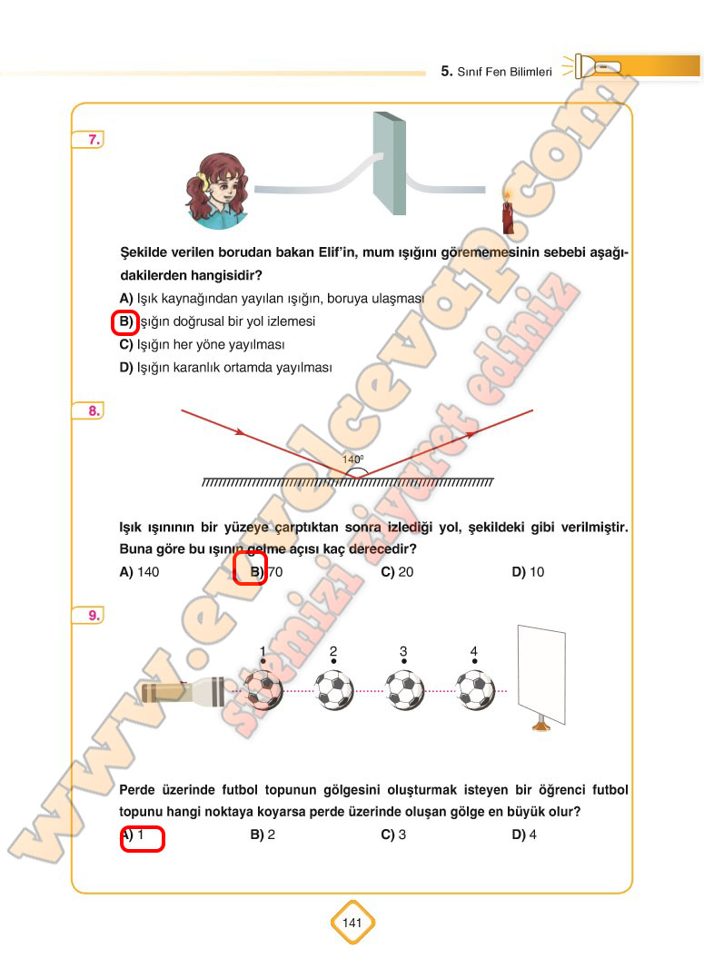 5-sinif-fen-bilimleri-sdr-dikey-yayinlari-ders-kitabi-cevaplari-sayfa-141