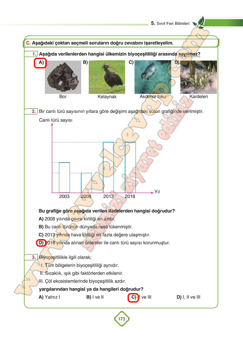 5-sinif-fen-bilimleri-sdr-dikey-yayinlari-ders-kitabi-cevaplari-sayfa-173