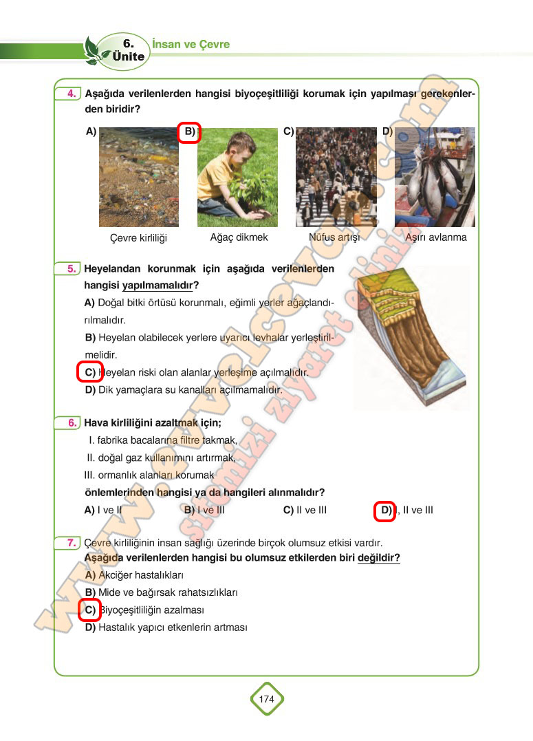 5-sinif-fen-bilimleri-sdr-dikey-yayinlari-ders-kitabi-cevaplari-sayfa-174