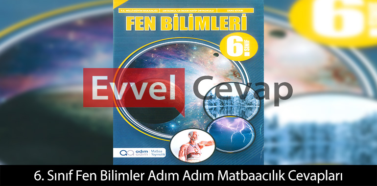 6. Sınıf Fen Bilimleri Ders Kitabı Cevapları Adım Adım Yayınları