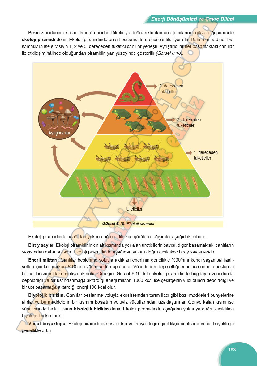 8-sinif-fen-bilimleri-ders-kitabi-cevabi-ata-yayinlari-sayfa-193