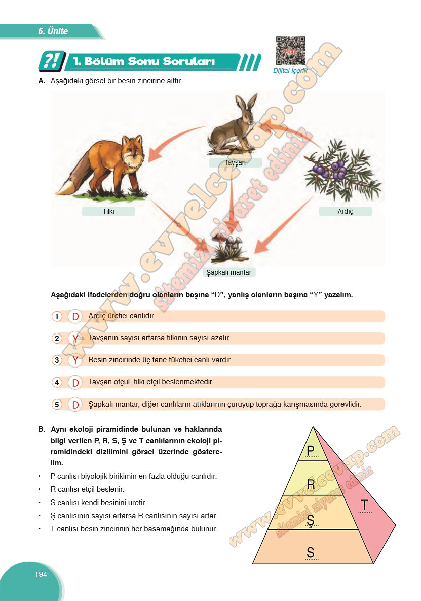 8-sinif-fen-bilimleri-ders-kitabi-cevabi-ata-yayinlari-sayfa-194