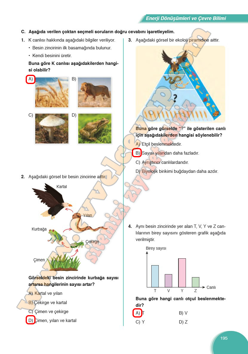 8-sinif-fen-bilimleri-ders-kitabi-cevabi-ata-yayinlari-sayfa-195