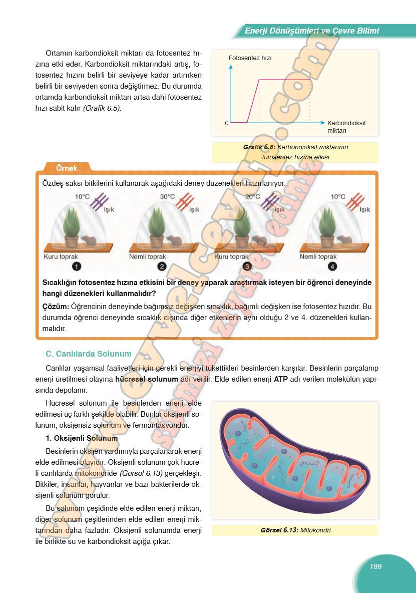 8-sinif-fen-bilimleri-ders-kitabi-cevabi-ata-yayinlari-sayfa-199
