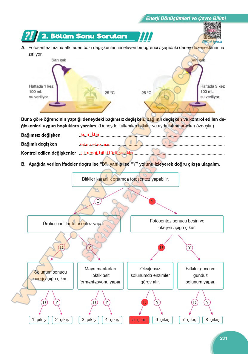 8-sinif-fen-bilimleri-ders-kitabi-cevabi-ata-yayinlari-sayfa-201