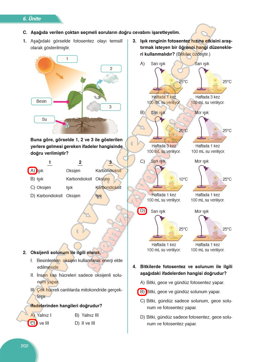 8-sinif-fen-bilimleri-ders-kitabi-cevabi-ata-yayinlari-sayfa-202