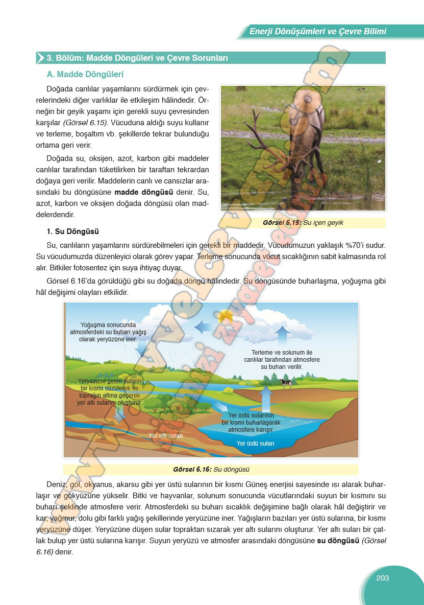8-sinif-fen-bilimleri-ders-kitabi-cevabi-ata-yayinlari-sayfa-203