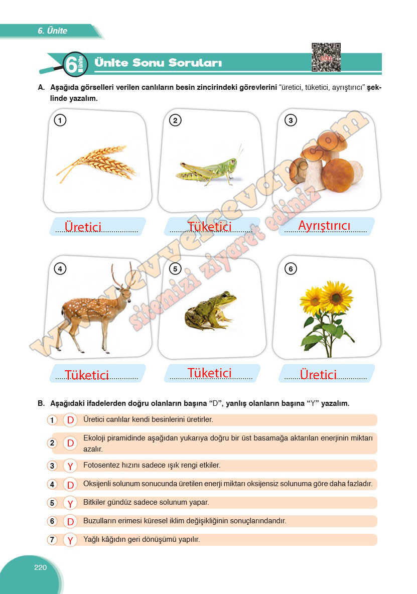 8-sinif-fen-bilimleri-ders-kitabi-cevabi-ata-yayinlari-sayfa-220