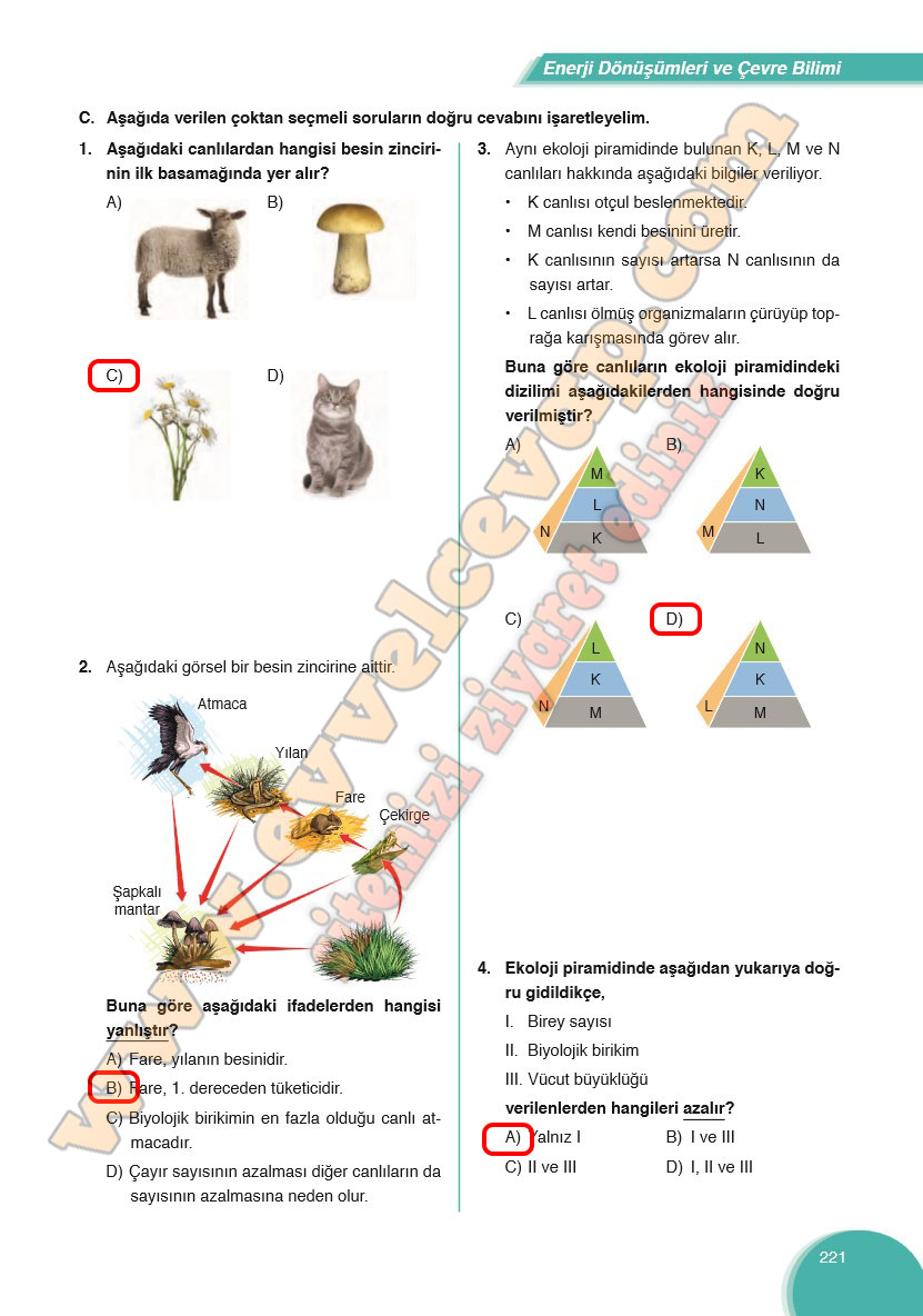 8-sinif-fen-bilimleri-ders-kitabi-cevabi-ata-yayinlari-sayfa-221
