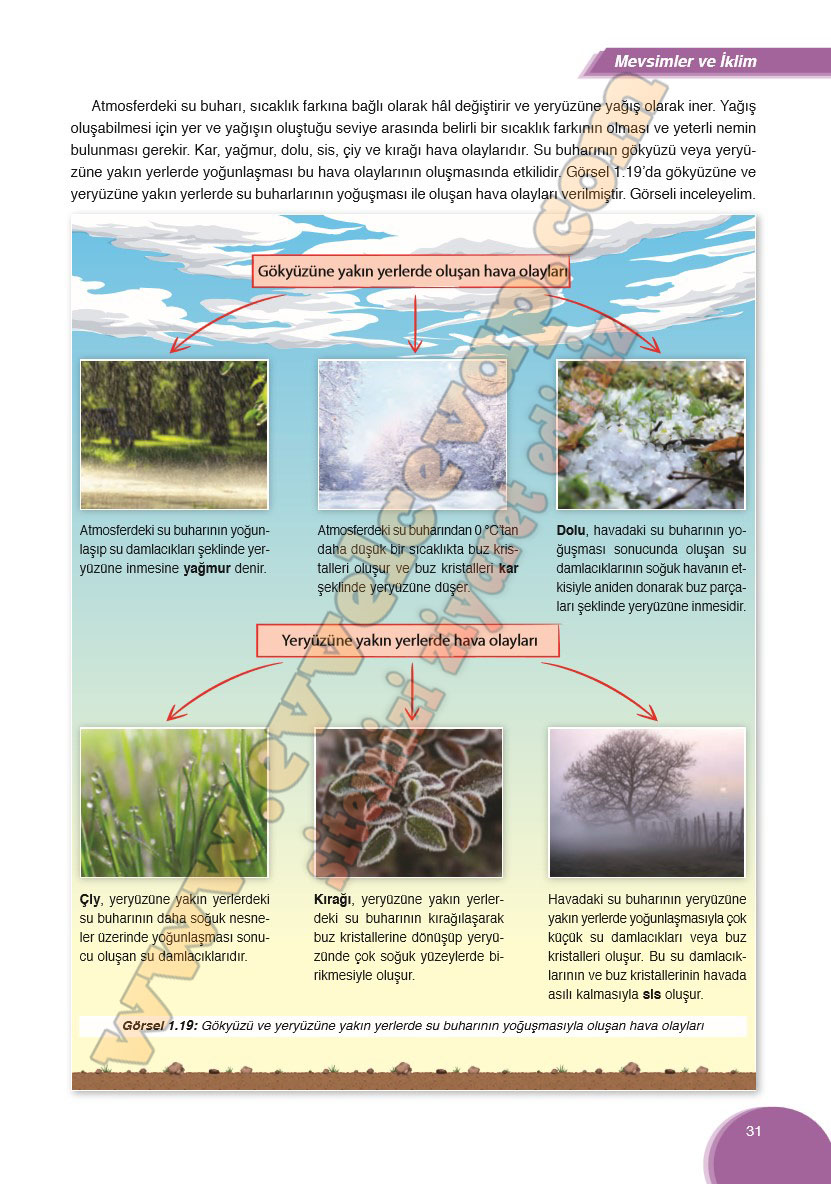 8-sinif-fen-bilimleri-ders-kitabi-cevabi-ata-yayinlari-sayfa-31