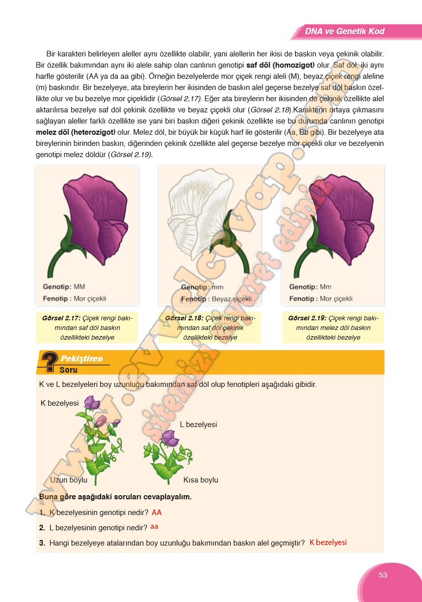 8-sinif-fen-bilimleri-ders-kitabi-cevabi-ata-yayinlari-sayfa-53