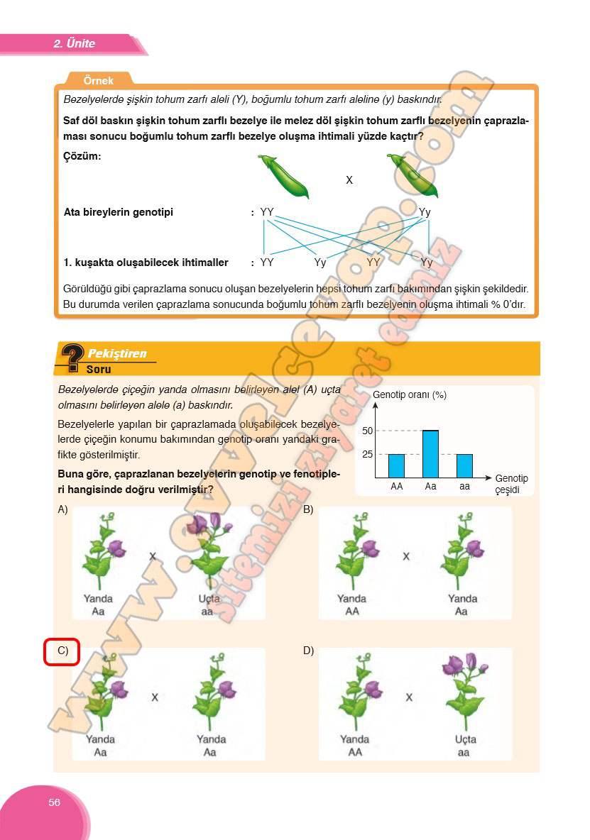 8-sinif-fen-bilimleri-ders-kitabi-cevabi-ata-yayinlari-sayfa-56