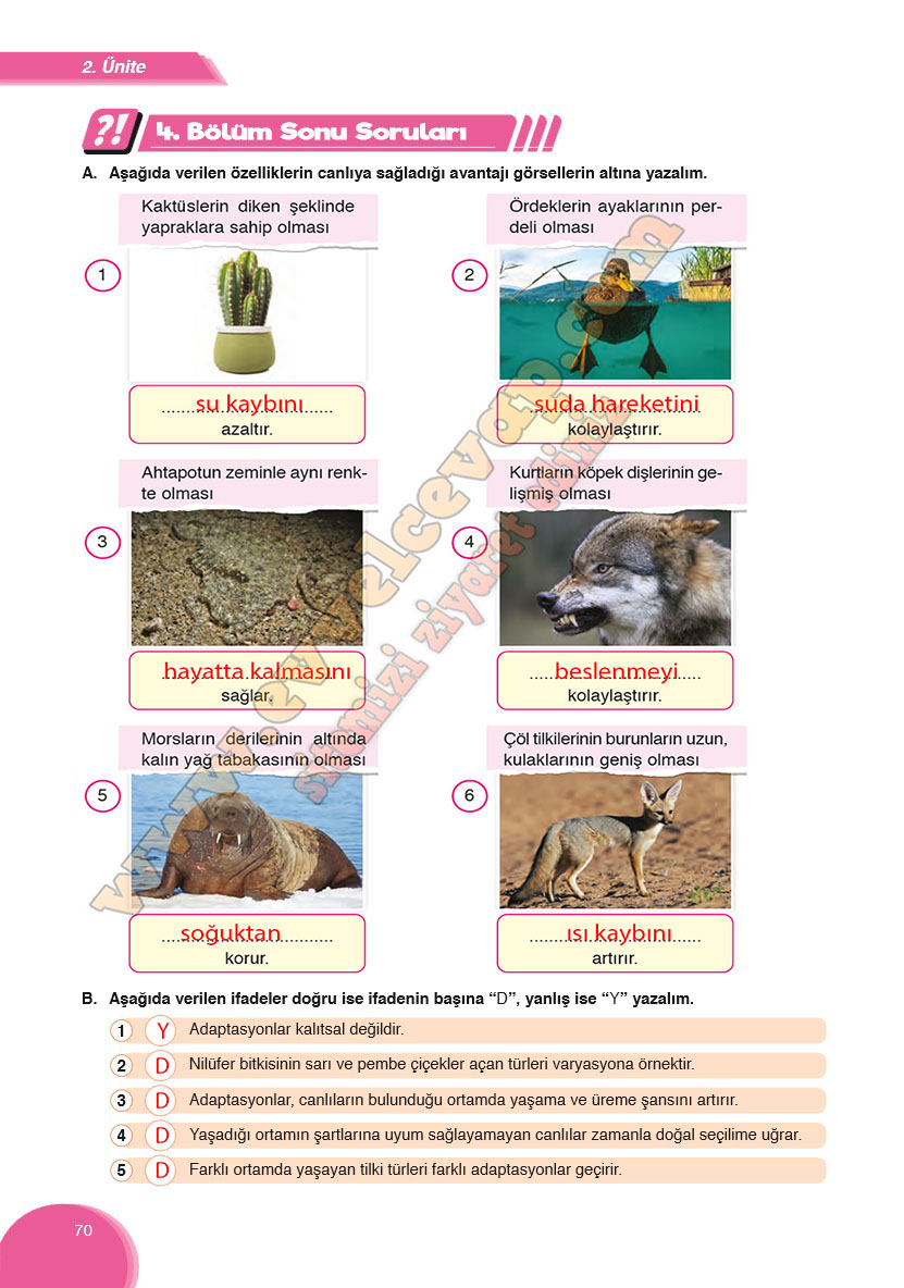 8-sinif-fen-bilimleri-ders-kitabi-cevabi-ata-yayinlari-sayfa-70