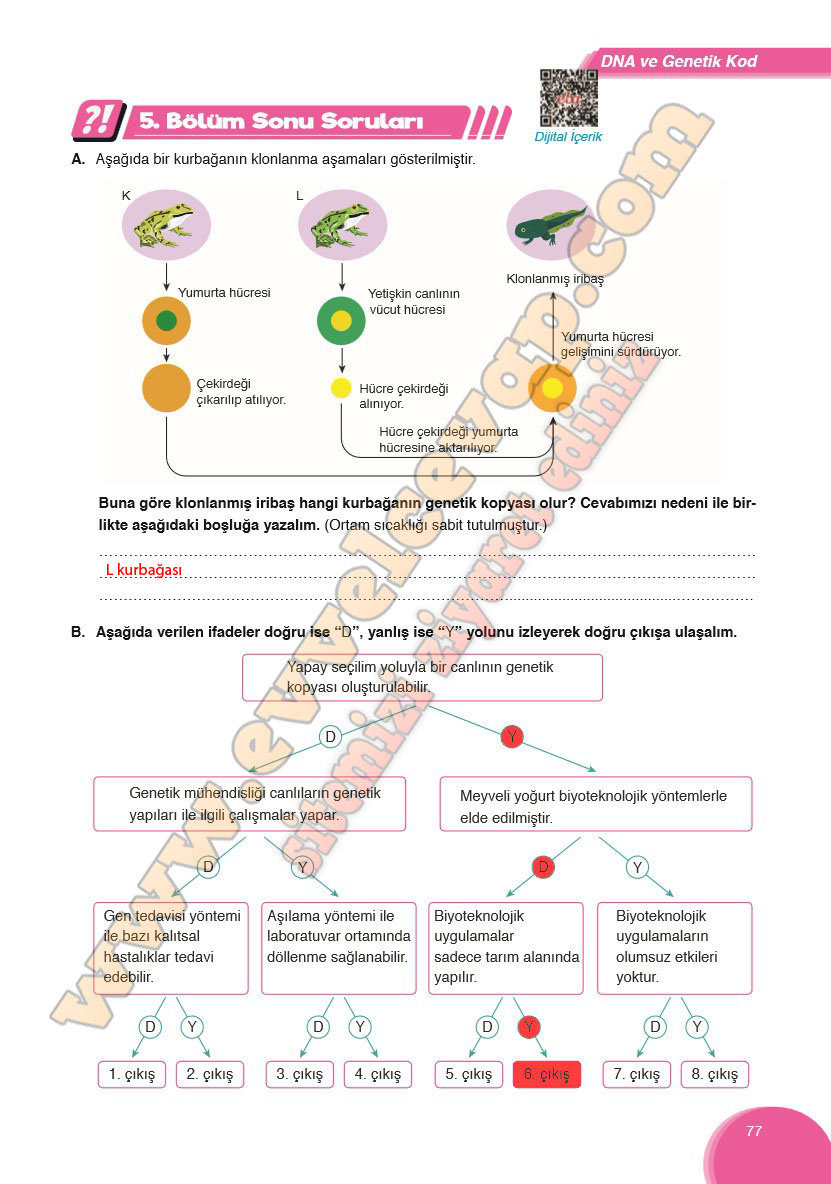 8-sinif-fen-bilimleri-ders-kitabi-cevabi-ata-yayinlari-sayfa-77