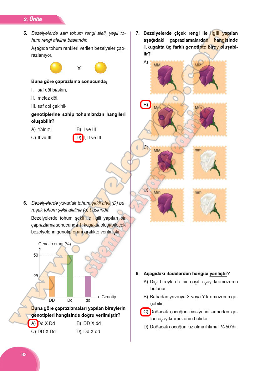 8-sinif-fen-bilimleri-ders-kitabi-cevabi-ata-yayinlari-sayfa-82