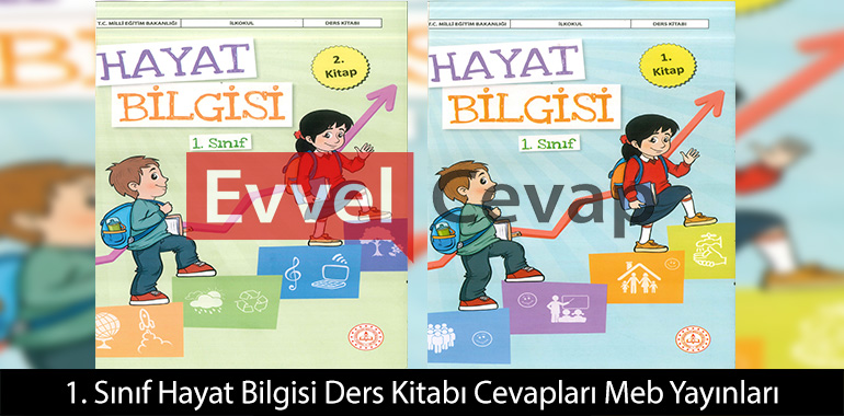 1. Sınıf Hayat Bilgisi Ders Kitabı Cevapları Meb Yayınları