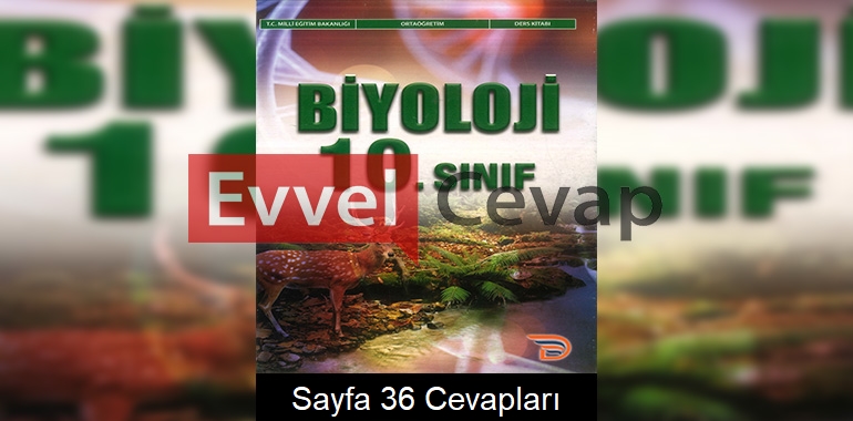 10. Sınıf Biyoloji Ders Kitabı Cevapları Dörtel Yayınları Sayfa 36 