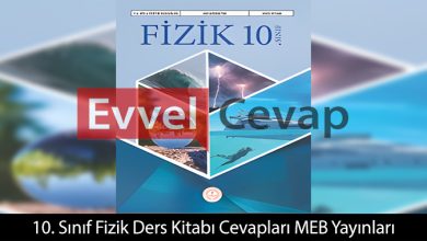 10. Sınıf Fizik Ders Kitabı Cevapları Meb