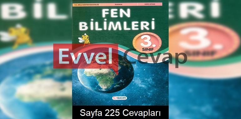 3. Sınıf Fen Bilimleri Ders Kitabı Cevapları SDR Dikey Yayınları Sayfa 225 