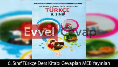 6. Sınıf Türkçe Ders Kitabı Cevapları Meb Yayınları